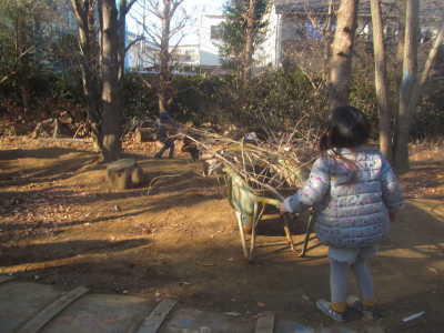 (写真)小さい女の子が一輪車に枝をたくさん入れて運んでいます。